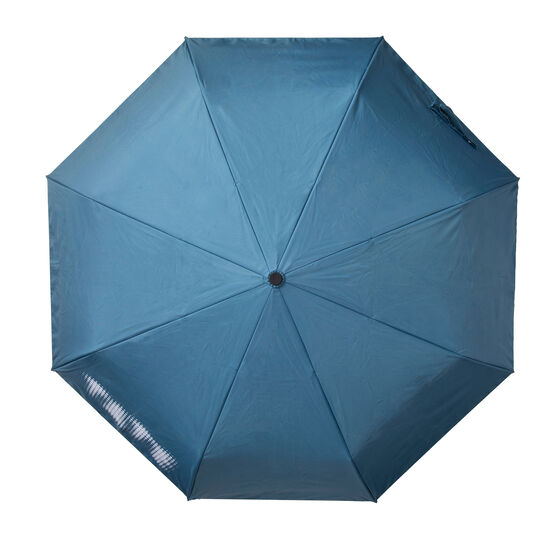 John Constable cloud umbrella